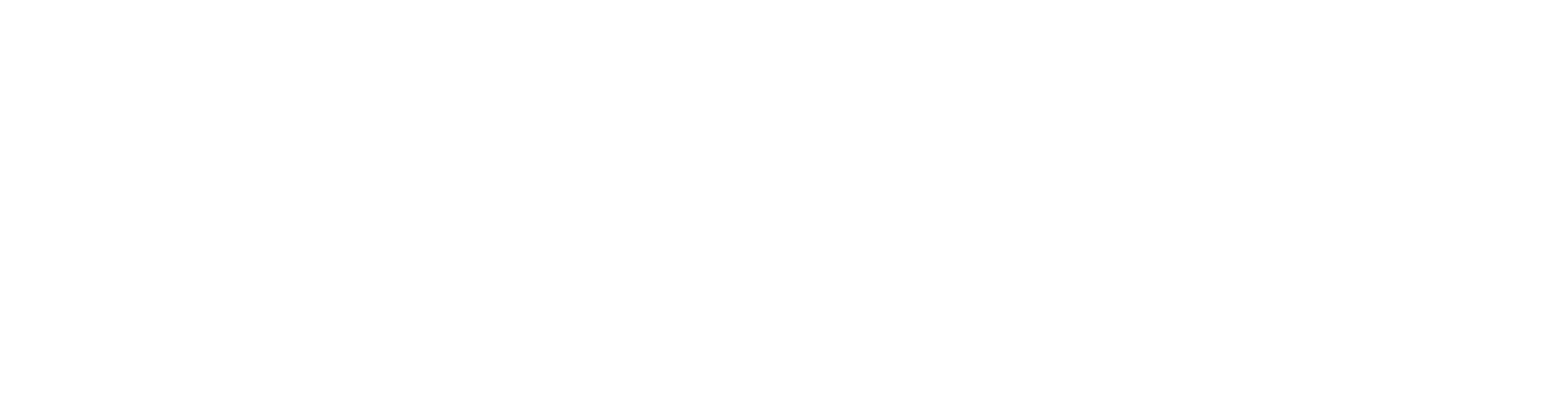 Bison Digital assets